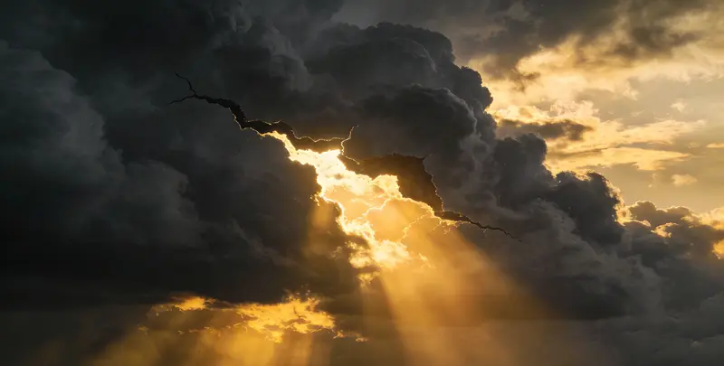 安庆肺癌12基因ctDNA突变检测(血液）图片1