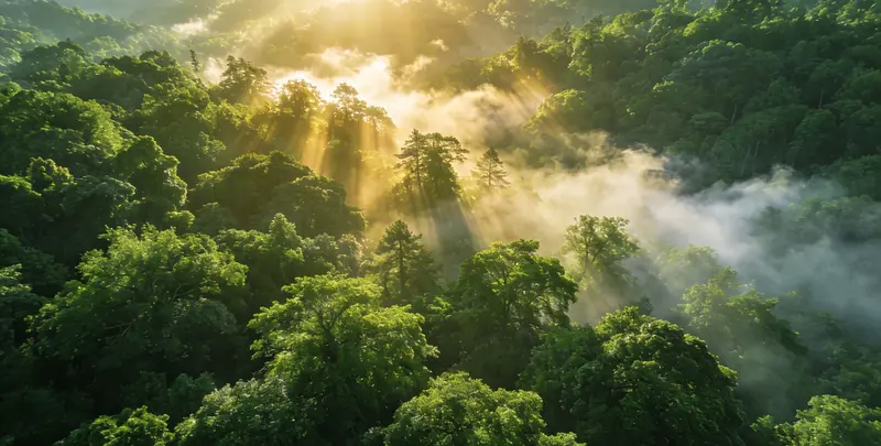 安庆肺癌（EGFR T790M)突变检测图片1