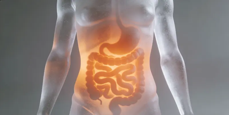 安庆食管癌甲基化检测图片1